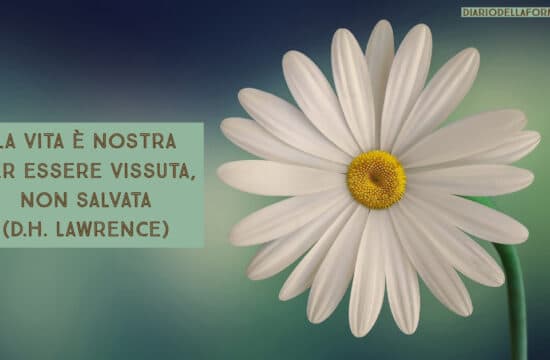 Buongiorno con Diario della Formazione
