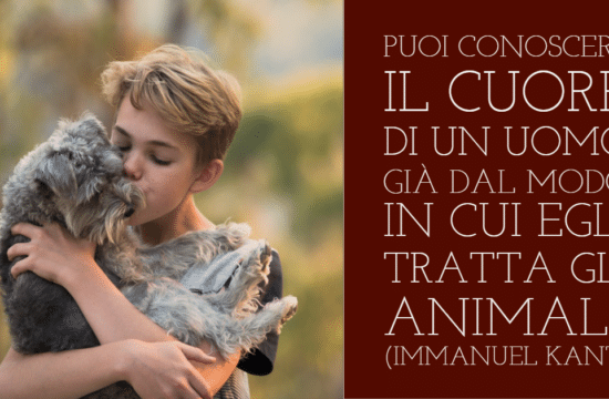 #Buongiorno con Diario della Formazione