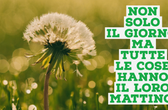 #Buongiorno con Diario della Formazione