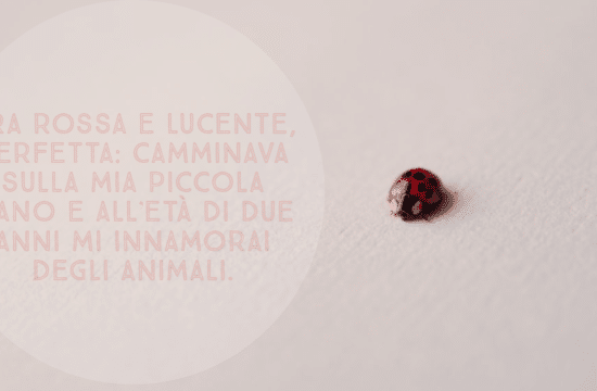 #Buongiorno con Diario della Formazione