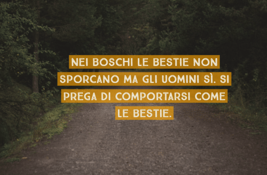 #Buongiorno con Diario della Formazione