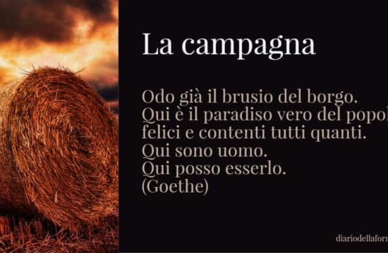 #Buongiorno con Diario della Formazione