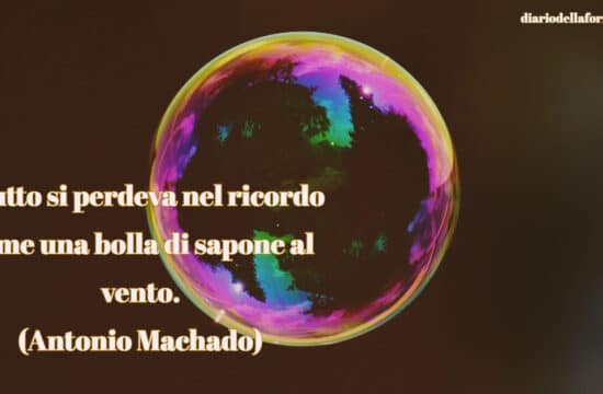 #Buongiorno con Diario della Formazione