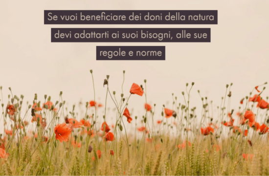#Buongiorno con Diario della Formazione