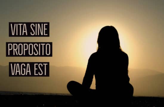 #Buongiorno con Diario della Formazione