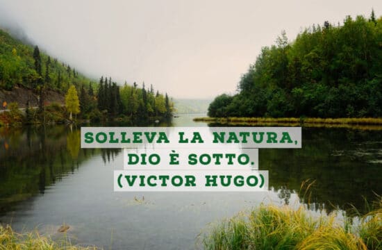 #Buongiorno con Diario della Formazione