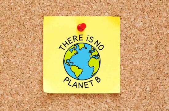 there is no planet b everydayforfuture